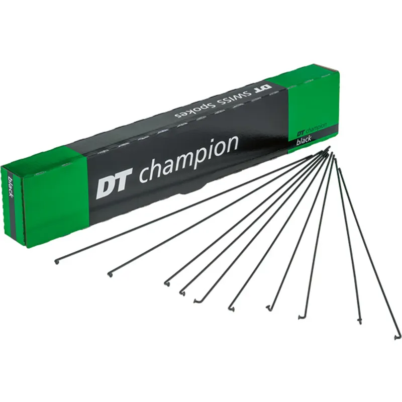 DT Swiss Champion 2x289mm Spokes in Black